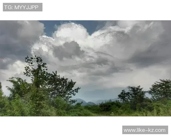张云龙足球运动员的成长历程与精彩瞬间全记录