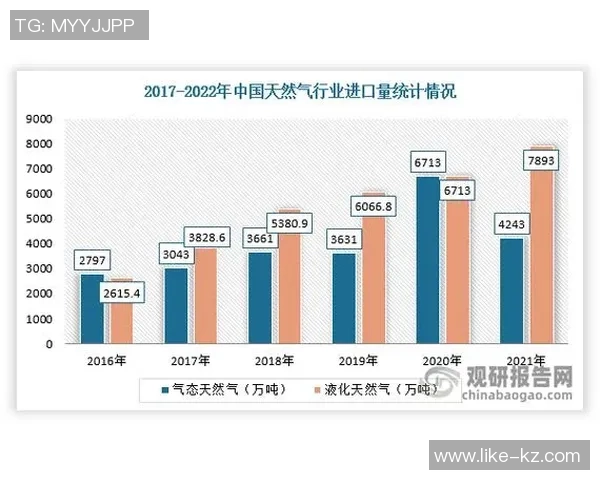 数据分析探讨液化天然气在市场中的配合表现与未来发展趋势