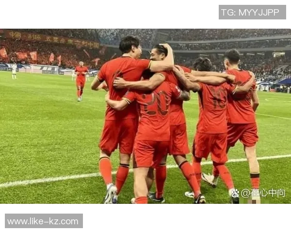 足球明星对中国足球的看法与建议解析探讨未来发展方向与潜力