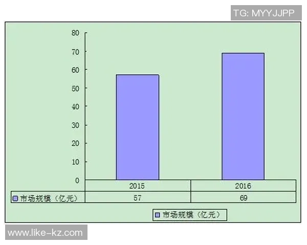 足球明星工厂的盈利模式与市场前景分析探讨