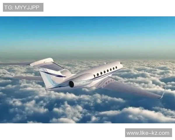 足球明星私人飞机失事引发全球关注安全隐患再度被提上日程 足球明星私人飞机失事引发全球关注安全隐患再度被提上日程